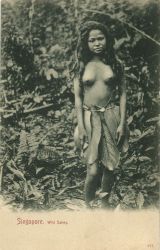 Auction Image 2