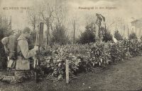 Postcard 085