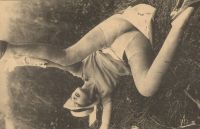 Postcard 116