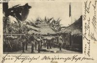 Postcard 184