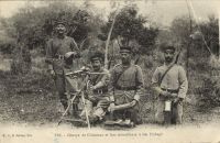 Postcard 186