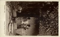 Postcard 199