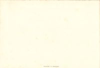 Postcard 227