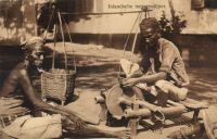 Postcard 255