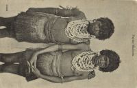 Postcard 278