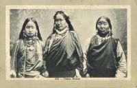 Postcard 302