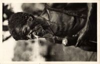 Postcard 309