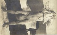 Postcard 314