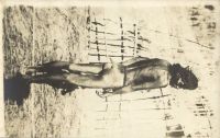 Postcard 316