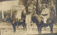 Postcard 324