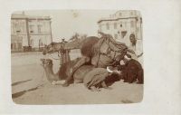 Postcard 328