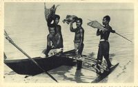 Postcard 334