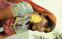 Postcard 337