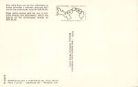 Postcard 340b