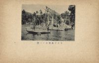 Postcard 347