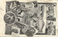 Postcard 366