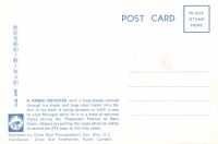 Postcard 376b