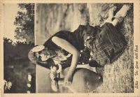 Postcard 381