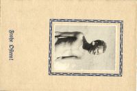 Postcard 395