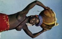Postcard 403