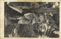 Postcard 412