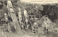 Postcard 446