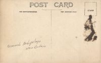 Postcard 462b