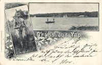 Postcard 477