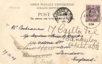 Postcard 480