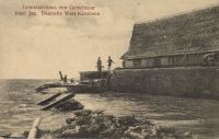 Postcard 484