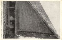 Postcard 487