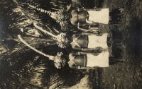 Postcard 488