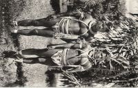 Postcard 497