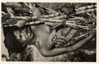 Postcard 499