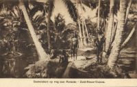 Postcard 504