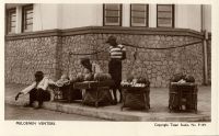 Postcard 507