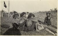 Postcard 516