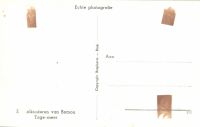 Postcard 518b
