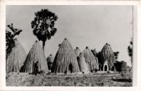 Postcard 535