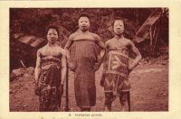 Postcard 536
