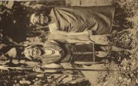 Postcard 538