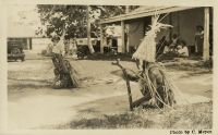 Postcard 539