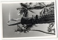 Postcard 545