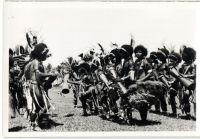 Postcard 548