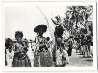 Postcard 556