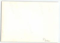 Postcard 556b