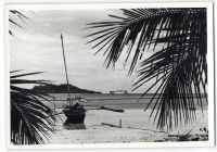 Postcard 558