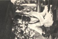 Postcard 575