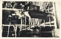 Postcard 586