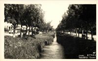 Postcard 601